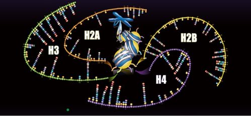 聚焦蛋白質(zhì)組學(xué)技術(shù)開(kāi)發(fā)與應(yīng)用，景杰生物完成5.3億元B輪融資以加速技術(shù)推廣